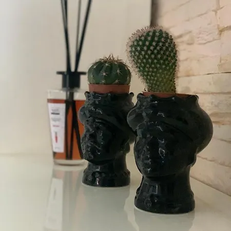 Chista E A Zita.