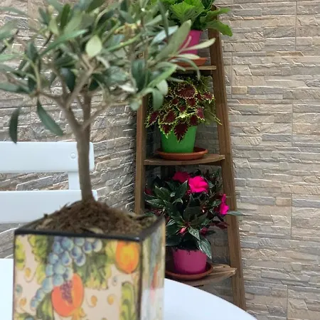 Chista E A Zita. Holiday home Syracuse
